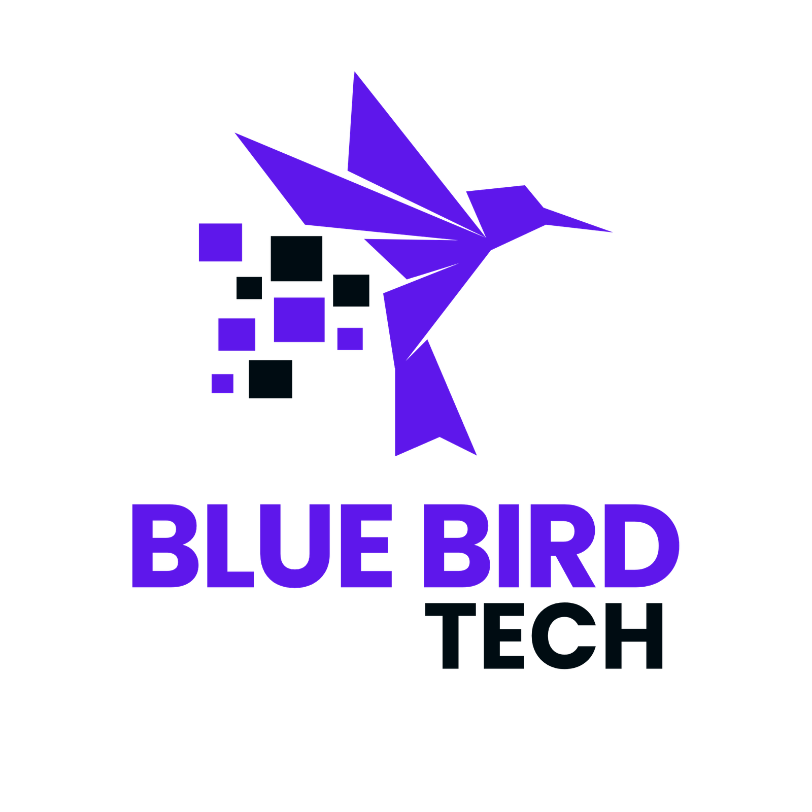 Blue Bird Tech